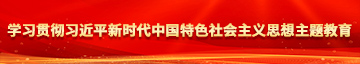 偷拍操你了网站视频学习贯彻习近平新时代中国特色社会主义思想主题教育